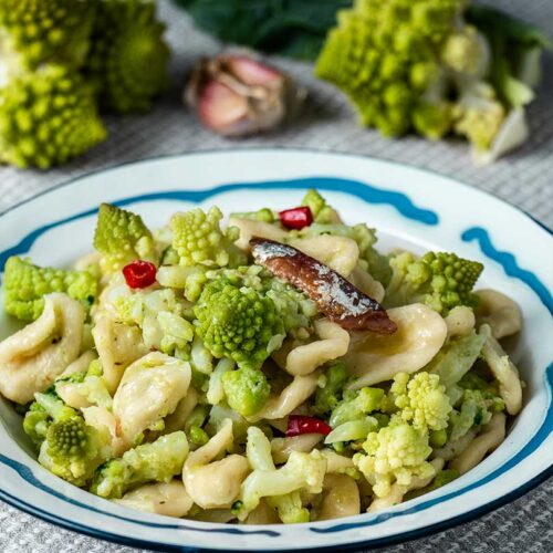 orecchiette con broccolo romano